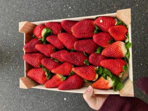 Eine Kiste voller Erdbeeren.
